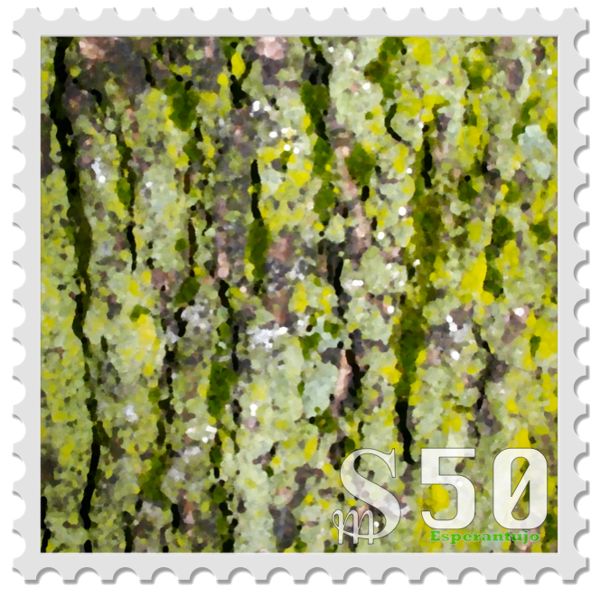 lichens and moss on bark
