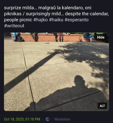 surprize milda… malgraŭ la kalendaro, oni piknikas / surprisingly mild… despite the calendar, people picnic #hajko
 #haiku
 #esperanto
 #writeout